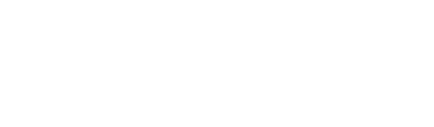 SADEN Logo